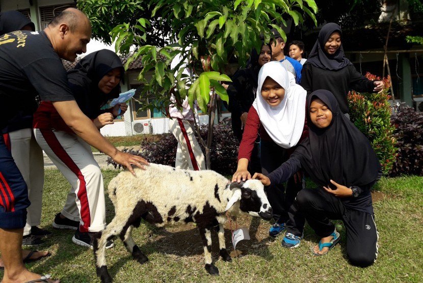 Sekolah Bosowa Bina Insani melibatkan para siswa dalam proses pemotongan dan pembagian daging hewan kurban.