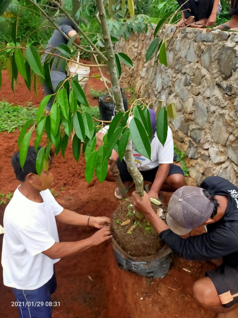 Sekolah Prestasi Global Depok melakukan penanaman pohon buah dan pohon langka di areal pengembangan sekolah.