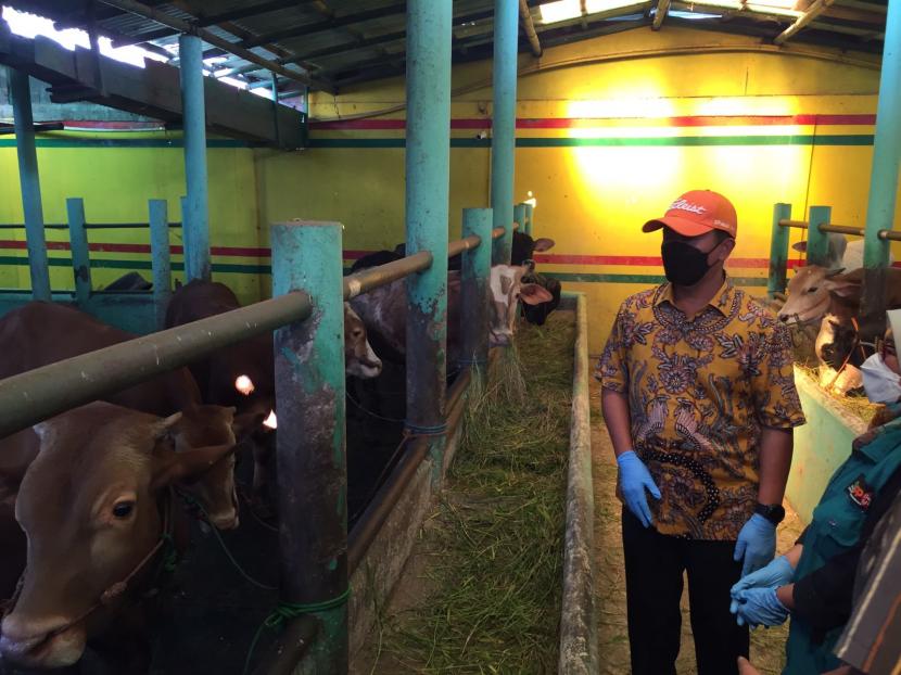 Sekretaris Daerah Pemerintah Kota Bandung Ema Sumarna melakukan monitoring ke peternakan hewan di Arcamanik, Kota Bandung dalam rangka antisipasi penyebaran PMK. Jumat (20/5/2022). 