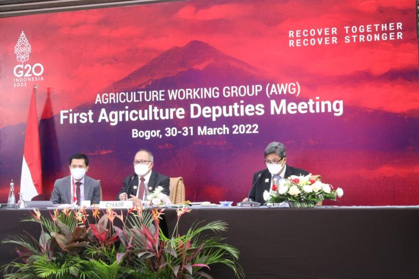 Sekretaris Jenderal Kementerian Pertanian (Kementan) Kasdi Subagyono menekankan pentingnya keterbukaan akses pangan dunia di forum G20. 