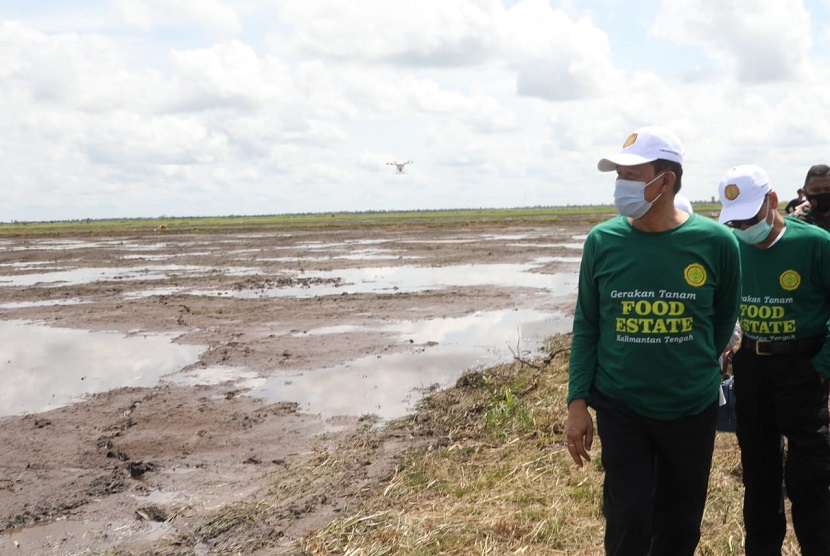 Sekretaris Jenderal Kementerian Pertanian (Kementan) Momon Rusmono, meninjau gerakan percepatan tanam padi di lokasi Food Estate Kalimantan Tengah, Selasa, (4/5). 