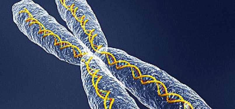 Sel DNA manusia