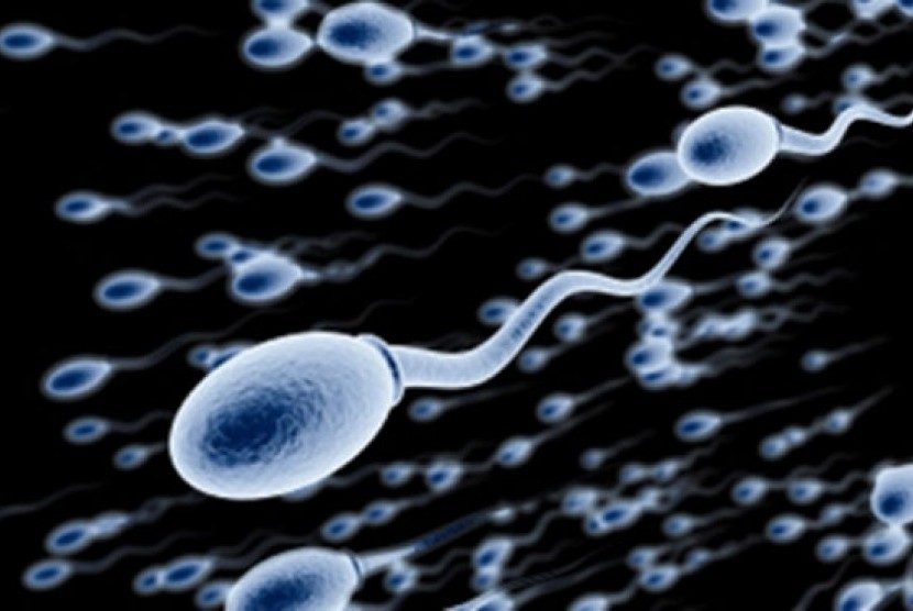Studi terbaru yang melibatkan 53 negara menemukan adanya tren penurunan jumlah sperma pada pria.  /ilustrasi