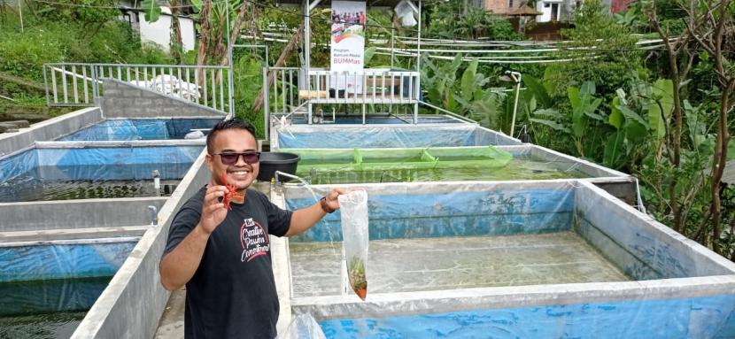 Selain mengelola budidaya ikan hias serta ikan konsumsi, Badan Usaha Milik Masyarakat (BUMMas) Ulam Jaya Watumalang yang diinisiasi  Rumah Zakat juga sedang mencoba budidaya Lobster Hias.