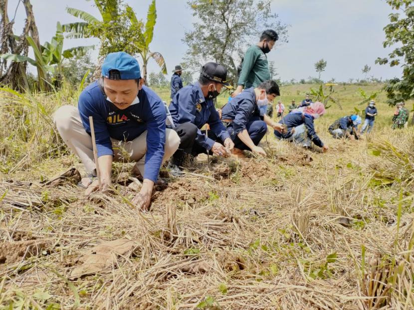 PWI Perwakilan Indramayu bekerja sama dengan KPH Perhutani Indramayu melakukan penanaman pohon di Petak G31 Kecamatan Cikedung, Kamis (11/3). 