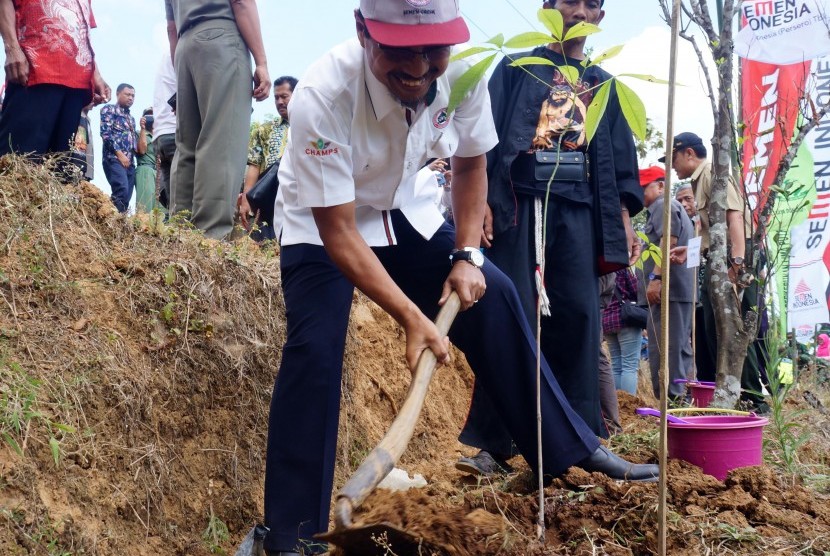 Semen Indonesia menyerahkan bibit karet di Probolingo.