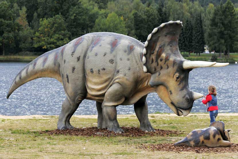  Seorang anak berdiri di depan sebuah model dinosaurus Triceratops dalam pameran 'Dunia Dinosaurus' di Hohenfelden dekat Erfurt, Jerman, Selasa (25/9). (Jens Meyer/AP)
