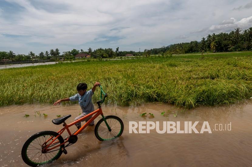 Seorang anak bersepeda di sekitar sawah yang terendam banjir.