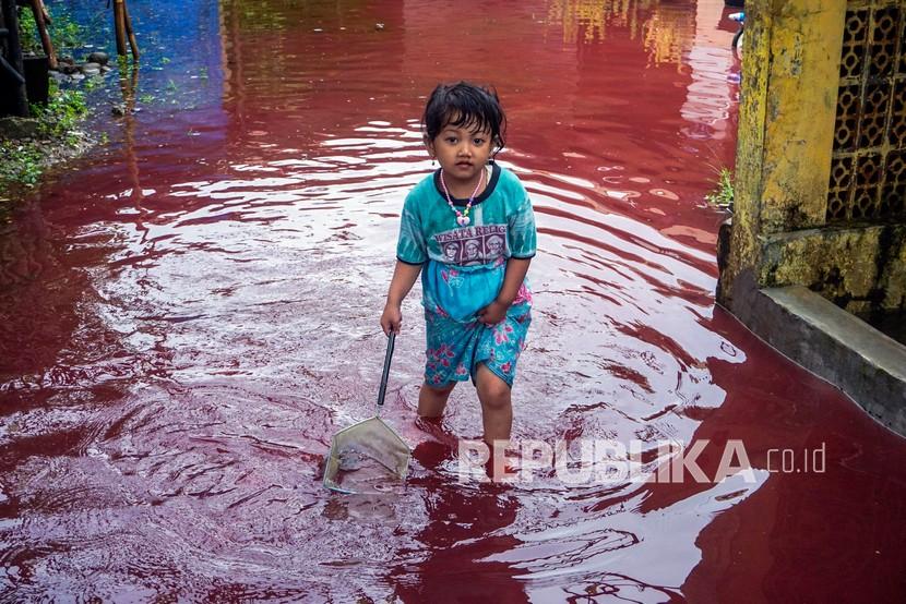 Seorang anak kecil bermain di jalan perkampungan yang tergenang banjir berwarna merah di Jenggot, Pekalongan, Jawa Tengah, beberapa waktu lalu.