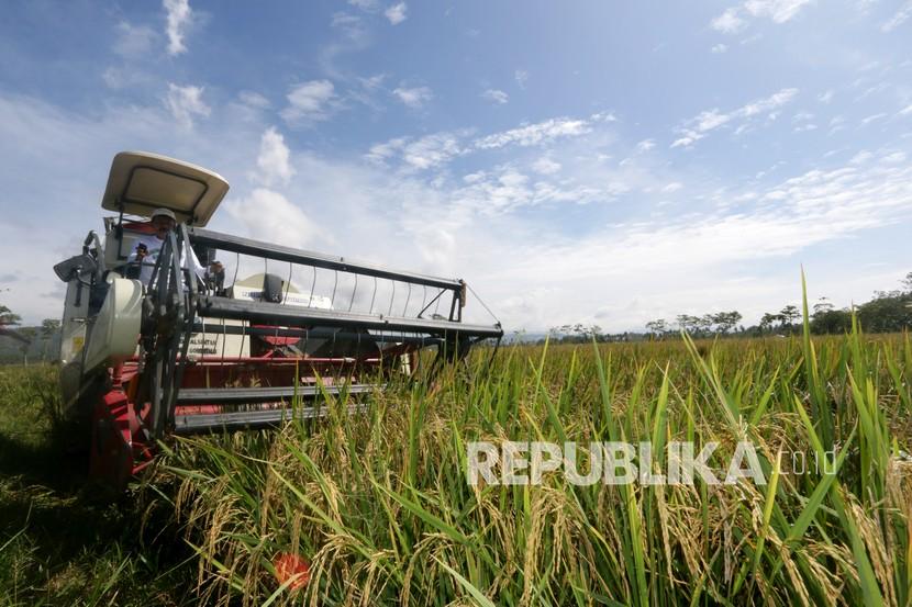Panen padi organik (ilustrasi). Minat para petani di Kabupaten Indramayu, Jawa Barat, menanam padi organik semakin meningkat. Hal itu membuat lahan sawah padi organik pun bertambah luas.