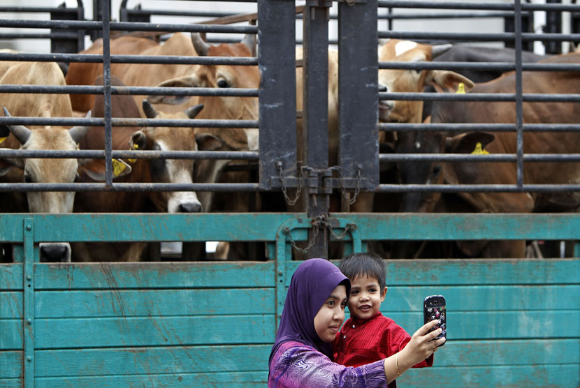   Seorang ibu berfoto bersama anaknya di depan sapi hewan kurban di Shah Alam, Kuala Lumpur, Selasa (15/10).  (AP/Lai Seng Sin)