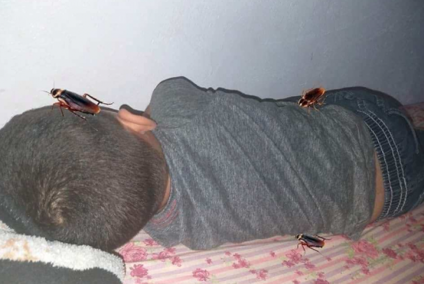Seorang ibu di Inggris mengedit foto anaknya yang sedang tidur dengan menambahkan gambar kecoak. Dia melakukannya untuk mengakali anaknya yang malas mandi.