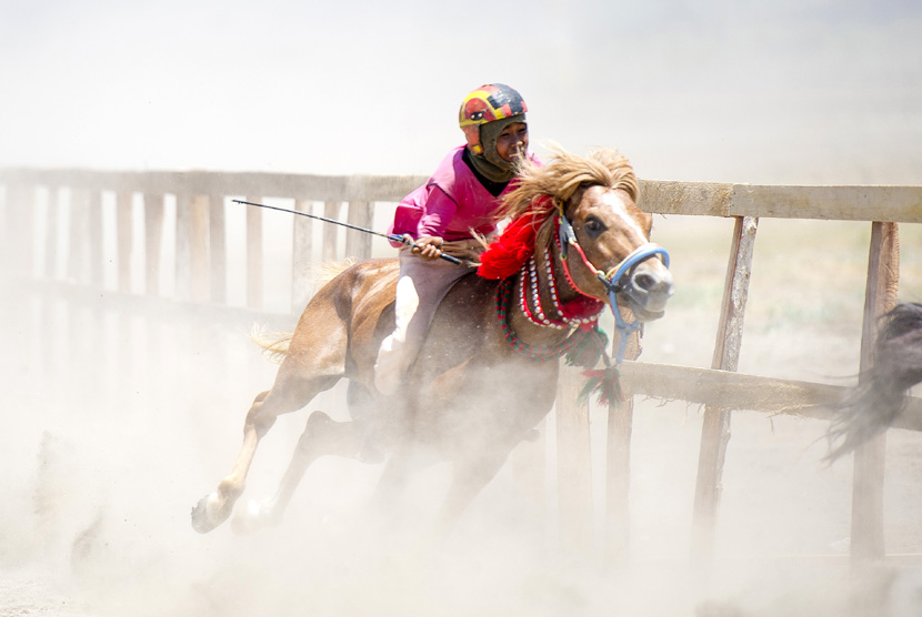   Seorang joki cilik memacu kuda mereka saat gelaran Pacuan Kuda Tradisional (Main Jaran) di kawasan Penyaring, Moyo Utara, Sumbawa, NTB, Ahad (11/11). (Antara/Ismar Patrizki)