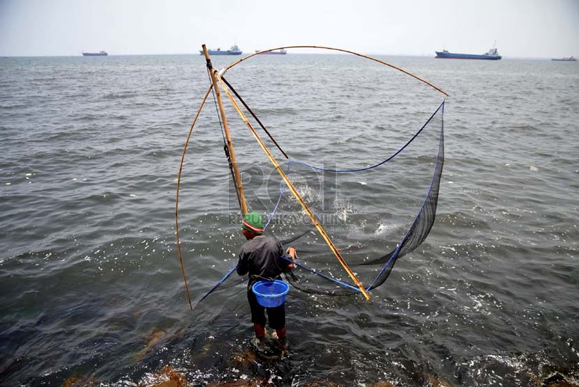 Seorang nelayan mengangkat jaring udang rebon di wilayah pesisir pantai Jakarta Utara, Selasa (8/10). (Republika/Prayogi)