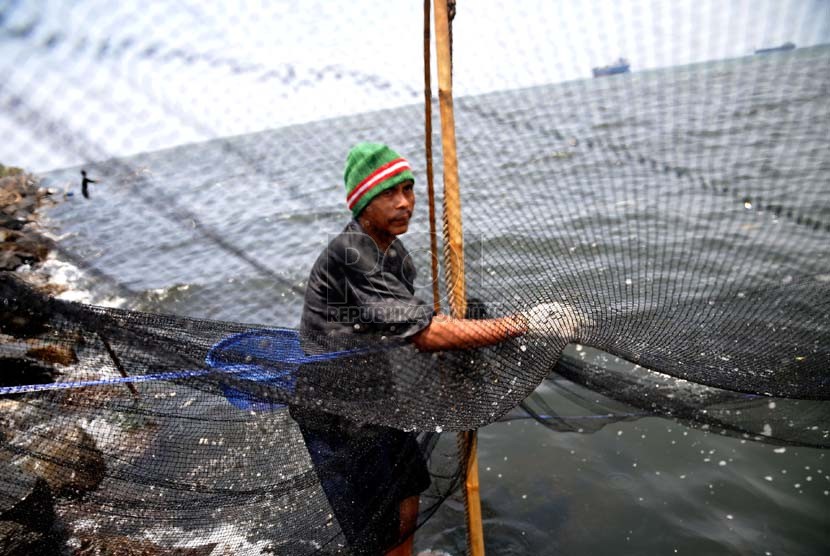 Seorang nelayan mengangkat jaring udang rebon di wilayah pesisir pantai Jakarta Utara, Selasa (8/10). (Republika/Prayogi)