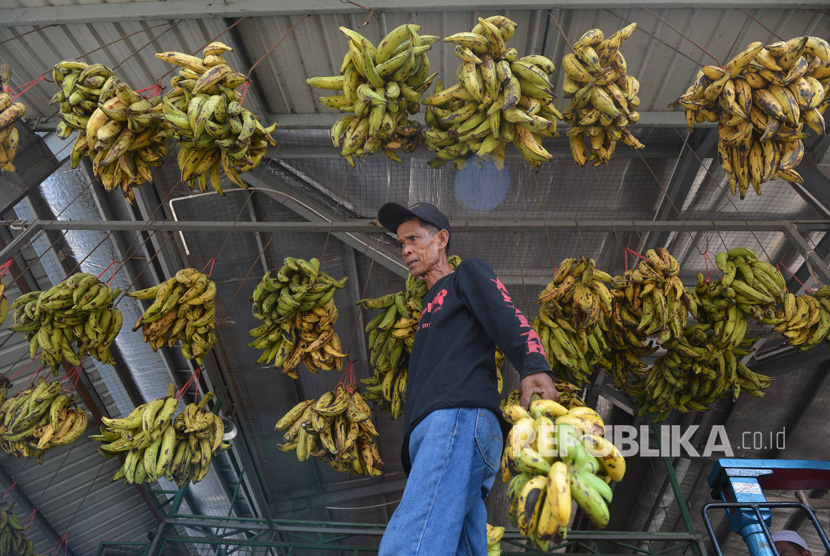 Jabar akan Bangun Pusat Distribusi Komoditas Pokok . Foto ilustrasi: Seorang pedagang menata pisang di Pasar Induk Modern Cikopo, Purwakarta, Jabar, Selasa (8/8). 