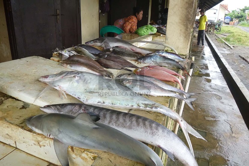   Seorang pedagang menjajakan ikan hasil tangkapan nelayan di kios ikan Pantai Jayanti, Cidaun, Kabupaten Cianjur.