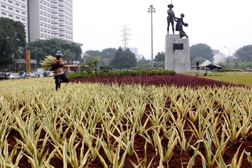  Seorang pekerja melakukan perawatan taman Tugu Tani, Jakarta Pusat, Senin (17/3). (foto : Raisan Al Farisi)