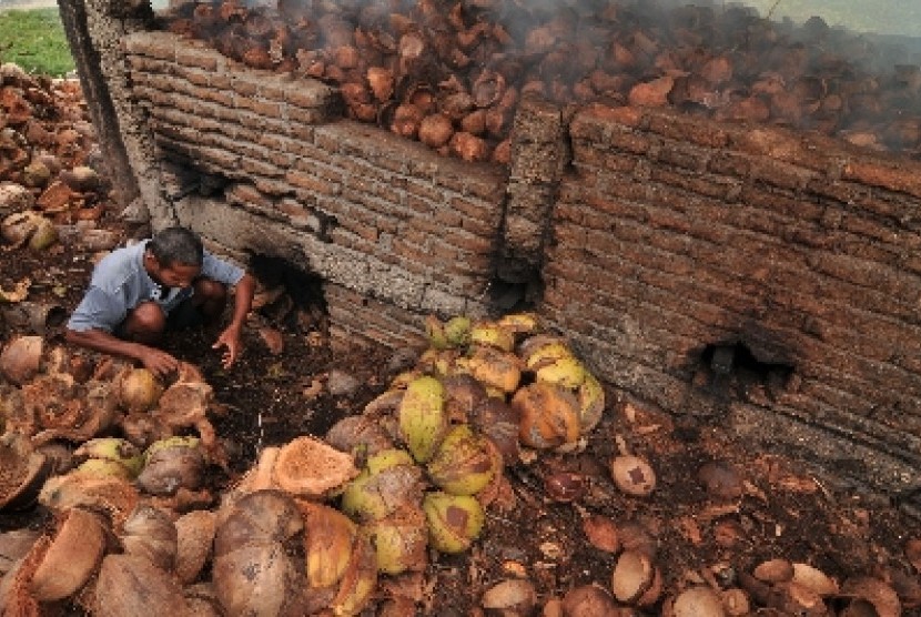 Seorang pekerja mengasapi kelapa yang akan dipisahkan dari bungkilnya untuk dijadikan kopra di Desa Toraranga, Kec. Ampibabo, kab. parigi Moutong, Sulteng, Minggu (27/5). Pengasapan tersebut dilakukan untuk memudahkan proses pemisahan kelapa dengan bungkil