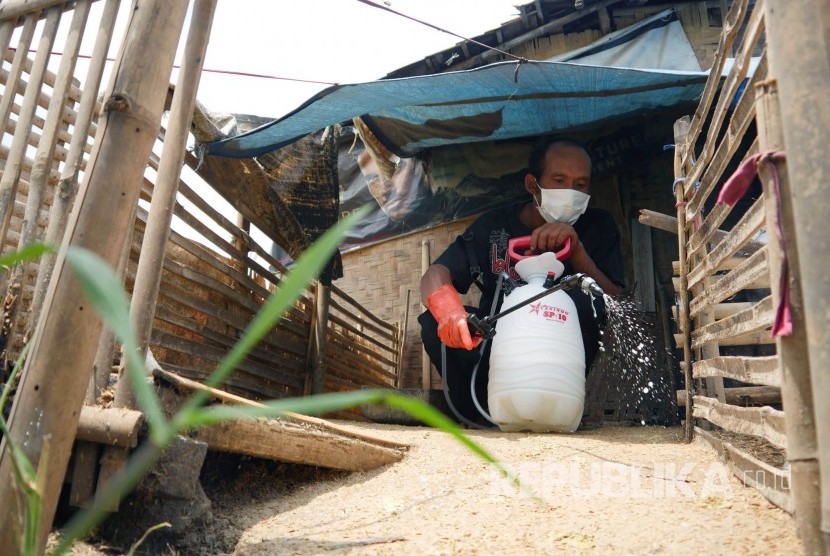 Seorang penduduk menyemprotkan cairan desinfektan di kandang itik terkait kasus flu burung yang menyebabkan kematian puluhan unggas, di Kampung Lebakwangi, Desa Sekarwangi, Kecamatan Soreang, Jumat (24/2).