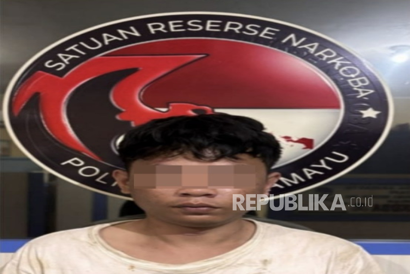 Seorang pengedar sabu dan ganja ditangkap Polres Indramayu. Ditemukan barang bukti berupa ganja kering seberat 1.005,61 gram.