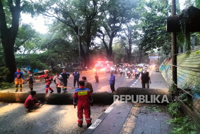 Seorang pengendara motor Cahya Firmansyah (30 tahun) mengalami luka-luka usai tertimpa pohon tumbang di Jalan Siliwangi, Kelurahan Lebak Siliwangi, Kecamatan Coblong, Kota Bandung, Selasa (4/3/2025) dini hari. Ia harus dilarikan ke rumah sakit Advent untuk mendapatkan perawatan. 