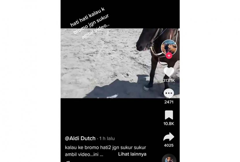 Seorang pengunjung dimintai uang saat merekam video kuda di Gunung Bromo viral di media sosial. 