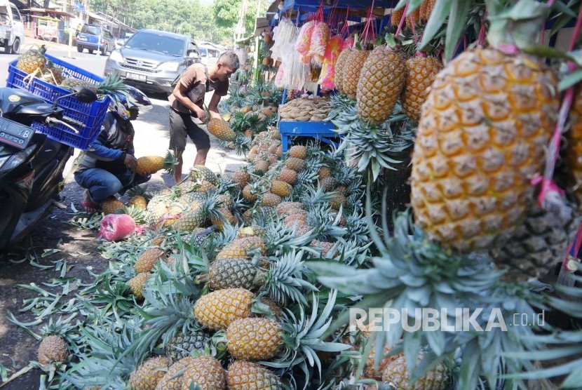 Seorang pengunjung memilih nanas, di Jalan Sariater, Kabupaten Subang. Koperasi Produsen Singgalang Sari Maju (PSSM) memberikan bantuan berupa 1,2 ton nanas segar jenis Smooth Cayene kepada tenaga medis dan relawan yang tengah menanggulangi wabah Covid-19.