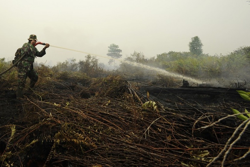 Seorang personel TNI AD dari Kodim 0415-Batanghari mencoba memadamkan kebakaran lahan gambut milik warga di Gambut Jaya, Muaro Jambi, Jambi.