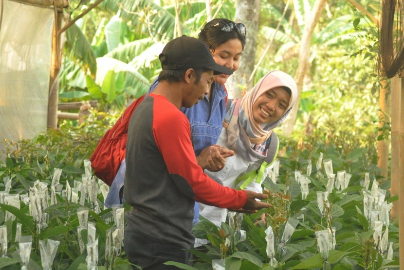  Seorang petani anggota Kelompok Tani Ngudi Rahayu, Dusun Kalibening, memberi penjelasan cara-cara budi daya tanaman buah alpukat kepada pengunjung. 