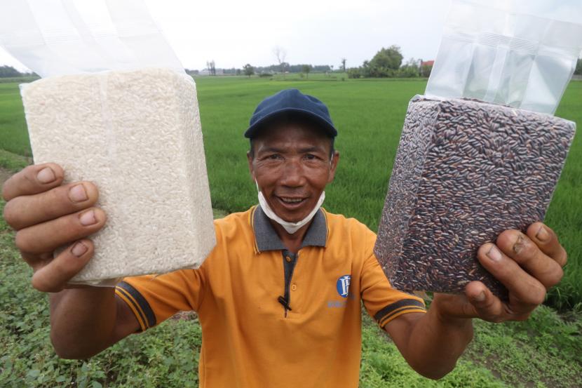 Seorang petani memperlihatkan beras organik dalam kemasan pres (ilustrasi). Pemerintah Kabupaten (Pemkab) Ngawi, Jawa Timur, mendorong kelompok tani di wilayahnya yang menerapkan sistem pertanian organik untuk melakukan sertifikasi terhadap lahan dan produknya, terutama beras.