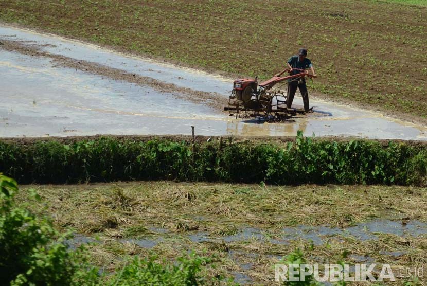 Seorang petani membajak sawah dengan menggunakan traktor di Cidaun, Kabupaten Cianjur. Jawa Barat. (Republika/Edi Yusuf)