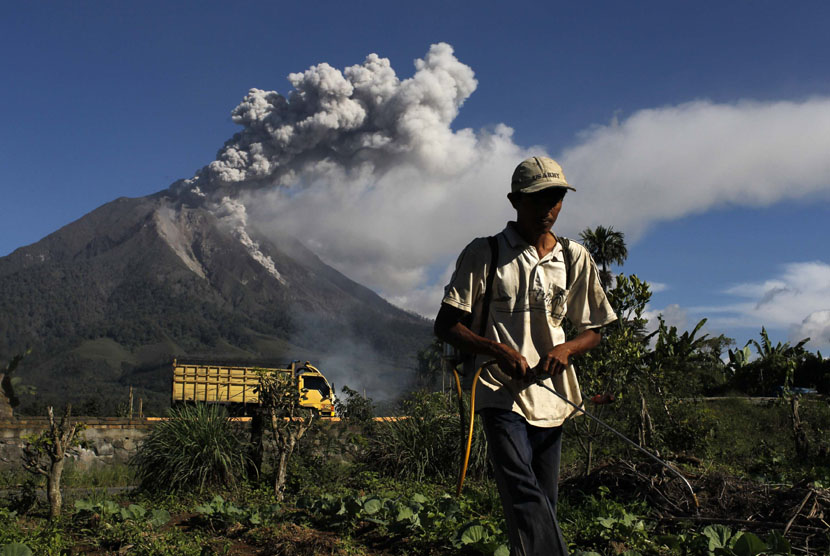 Seorang petani menyemprotkan pestisida dengan latar Gunung Sinabung yang memuntahkan abu ke udara di Kabupaten Karo, Sumut. (ilustrasi)