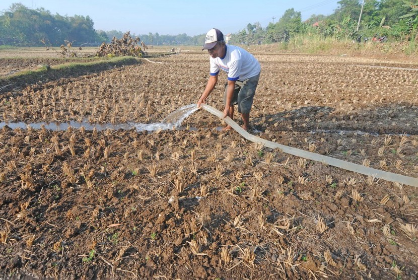 Seorang petani menyirami lahan pertanian kacang miliknya menggunakan air dari sumur bor di Gumukrejo, Andong, Boyolali, Jawa Tengah, Senin (24/6/2019). P