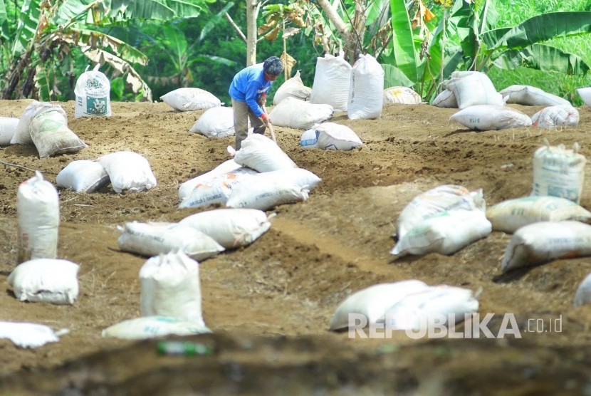 Seorang petani sayuran menyiapkan lahan untuk ditaburi pupuk kandang, di kawasan Punclut, Kecamatan Lembang, Kabupaten Bandung Barat, Senin (22/8). (Republika/Edi Yusuf)
