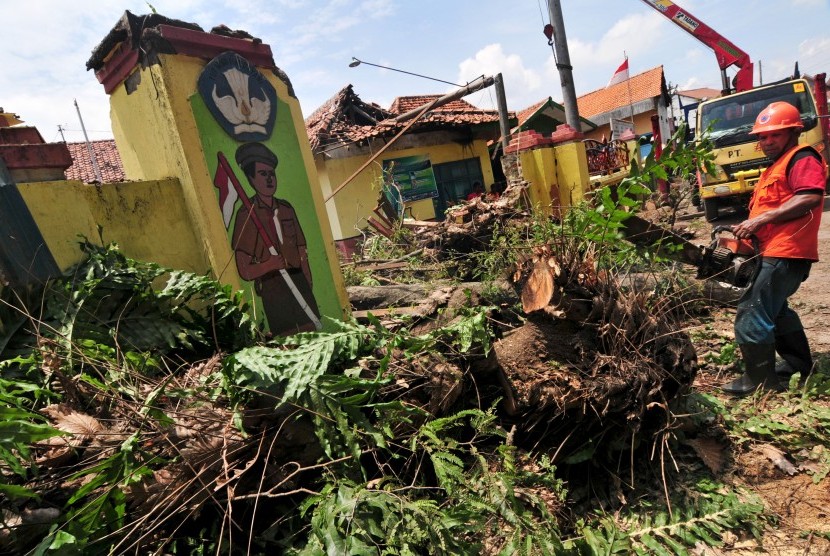 Seorang petugas Badan Penanggulangan Bencana Daerah (BPBD) memotong pohon besar yang tumbang menimpa bangunan SD di Desa Pesarean, Kabupaten Tegal, Jawa Tengah, Senin (15/2)