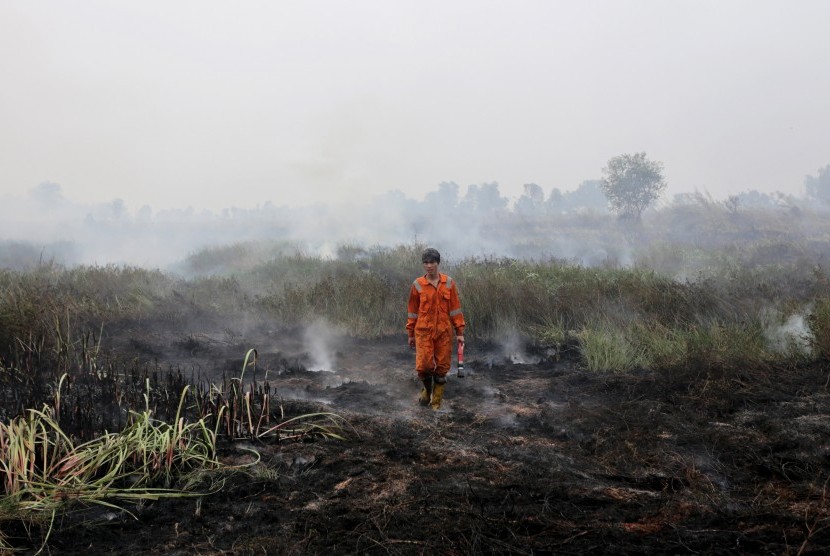 Seorang petugas BPBD Propinsi Sumatra Selatan berjalan diantara lahan yang terbakar di Desa Sungai Rambutan, Kecamatan Indralaya Utara, Ogan Ilir (OI), Sumsel. Jumat (9/10). 