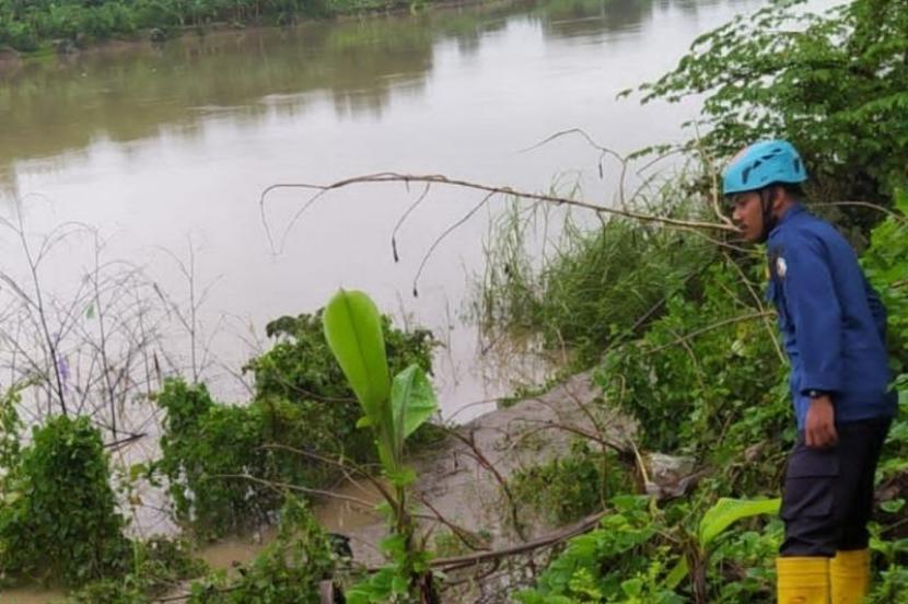 Petugas Dinas Damkarmat berupaya menangkap buaya dari Bengawan Solo yang muncul di Desa Kebonagung, Kecamatan Padangan, Kabupaten Bojonegoro, Jawa Timur.