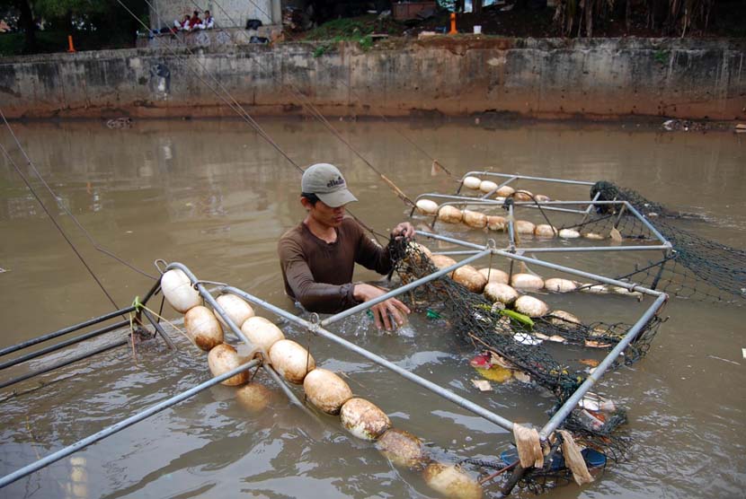 Seorang petugas kebersihan menjaring sampah di kali Grogol, Jakarta Selatan (foto ilustrasi).