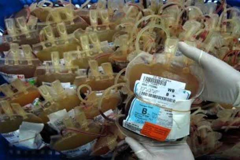 Seorang petugas memeriksa data yang tertera di salah satu kantong darah di ruang penyimpanan darah di Unit Donor Darah Palang Merang Indonesia (UDD PMI) Surabaya, Jatim, Senin (18/7). Menjelang bulan Ramadhan, PMI Surabaya melakukan jemput bola pelayanan darah