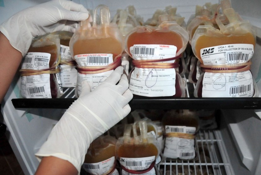 Seorang petugas memeriksa stok darah lengkap atau whole blood di Laboratorium Palang Merah Indonesia, Tegal, Jateng, Kamis (9/4). 