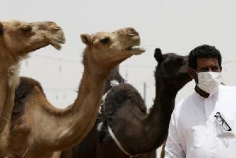 Seorang pria di dekat Riyadh mengenakan masker saat dekat hewan onta. Penggunaan masker ditujukan menghindari terinfeksi virus MERS.