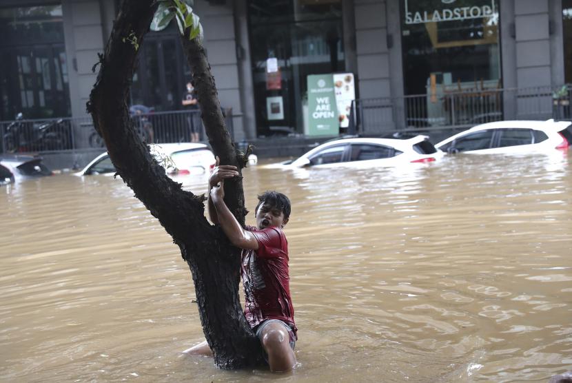 Seorang pria mengambil pohon agar tidak tersapu oleh air banjir melalui lingkungan yang banjir menyusul hujan lebat di Jakarta, Indonesia, Sabtu, 20 Februari 2021. Hujan deras yang dikombinasikan dengan perencanaan pembuangan limbah kota yang buruk sering menyebabkan banjir besar di beberapa bagian besar. Jakarta.
