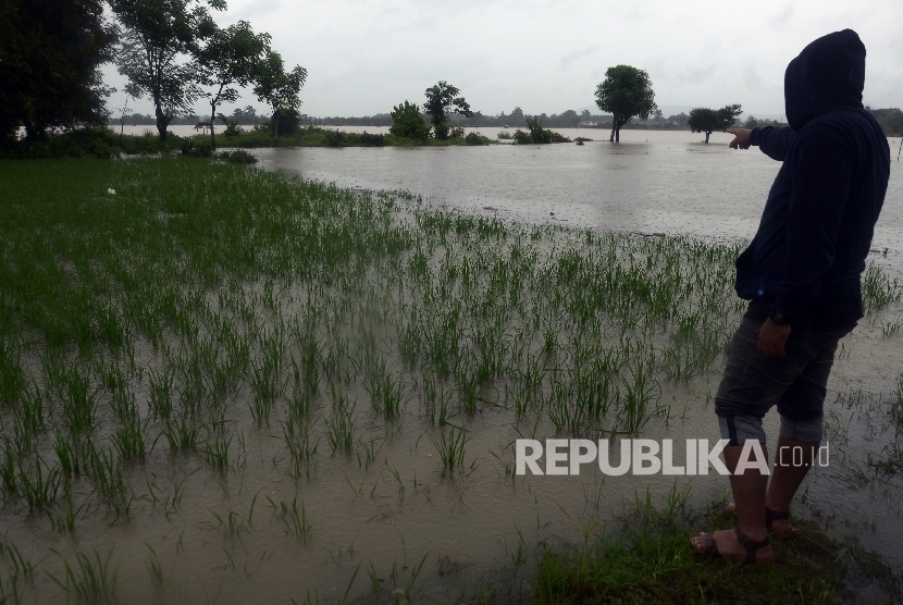Seorang pria menunjuk areal persawahan yang terendam banjir di Desa Moncongloe Lappara, Kecamatan Moncongloe, Kabupaten Maros, Sulawesi Selatan, Selasa (31/1)