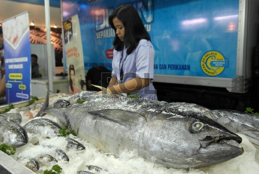 Seorang staf Kementrian Kelautan dan Perikanan sedang menata display boothnya pada acara pameran International Indonesia Seafood & Meat (IISM) di JiExpo Kemayoran Jakarta, Kamis (15/10).