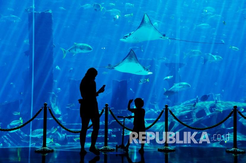 Uni Emirat Arab Tetapkan Libur Tahun Baru Hijriyah. Seorang wanita dan anaknya melihat ikan di akuarium di Hotel Atlantis di Dubai, Uni Emirat Arab.