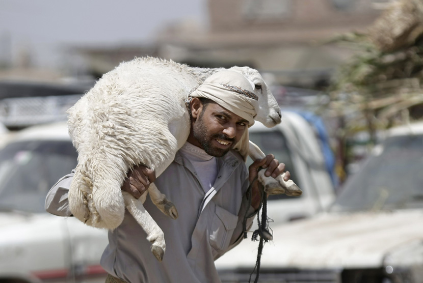  Seorang warga membawa hewan kurban yang baru ia beli di Sanaa, Ahad (13/10).  (AP/Hani Mohammed)