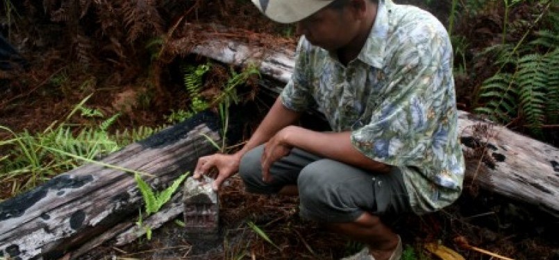 Seorang warga memegang patok tapal batas di Dusun Camar Bulan, Desa Temajok, Kecamatan Paloh, Kabupaten Sambas, Kalbar. Patok semen tipe D nomor A104 itu merupakan hasil kesepakatan Indonesia-Malaysia 1978.