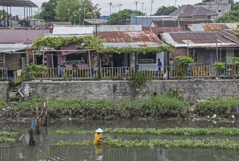 Seorang warga memetik kangkung di Sungai Jangkuk, di permukiman padat penduduk di Ampenan, Mataram, NTB, Senin (25/1). Badan Pusat Statistik hari ini mengumumkan angka-angka terbaru kemiskinan di Indonesia yang menjadi cerminan dampak luar biasa pandemi Covid-19. (ilustrasi)