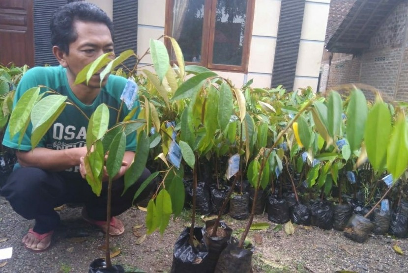 Seorang warga mendapat benih tanaman berkualitas yang dibagikan Kementerian Pertanian